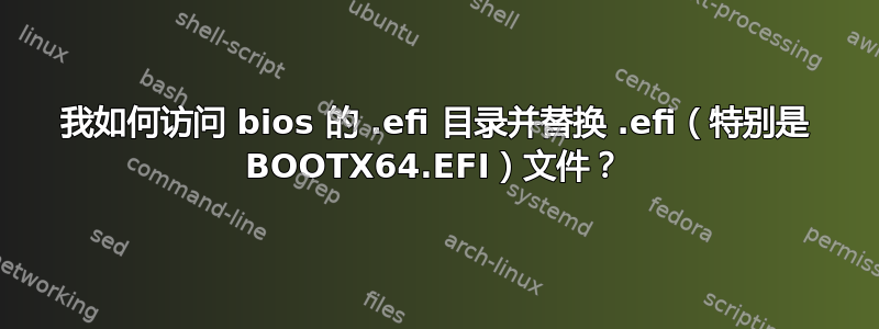 我如何访问 bios 的 .efi 目录并替换 .efi（特别是 BOOTX64.EFI）文件？