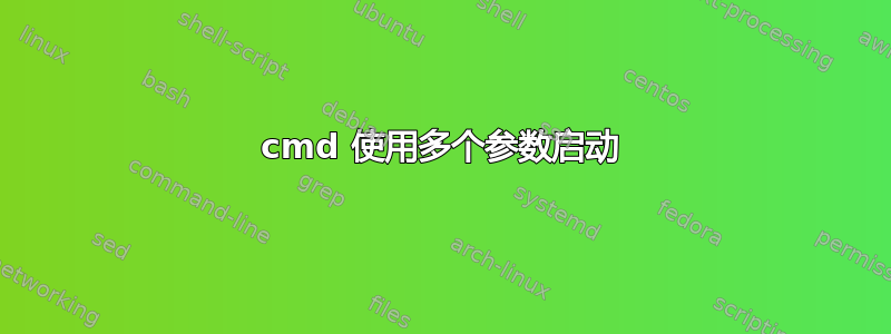 cmd 使用多个参数启动