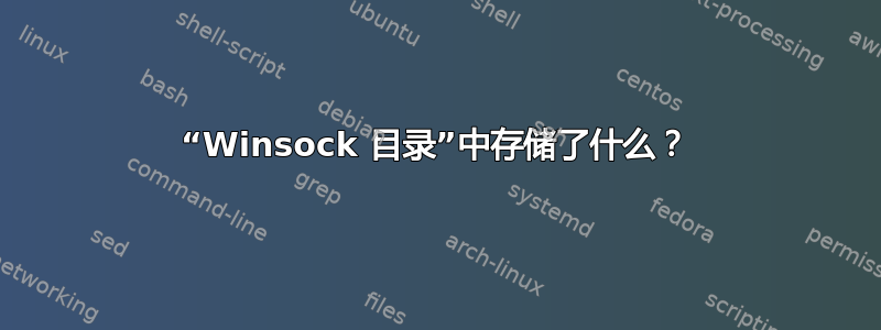 “Winsock 目录”中存储了什么？