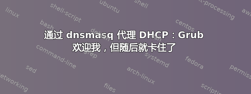 通过 dnsmasq 代理 DHCP：Grub 欢迎我，但随后就卡住了