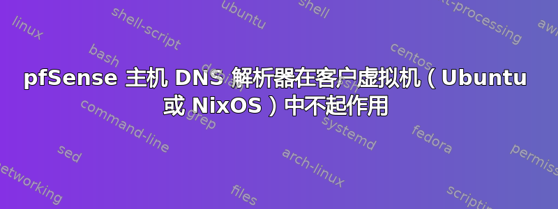 pfSense 主机 DNS 解析器在客户虚拟机（Ubuntu 或 NixOS）中不起作用