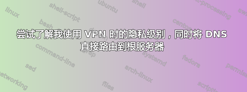 尝试了解我使用 VPN 时的隐私级别，同时将 DNS 直接路由到根服务器