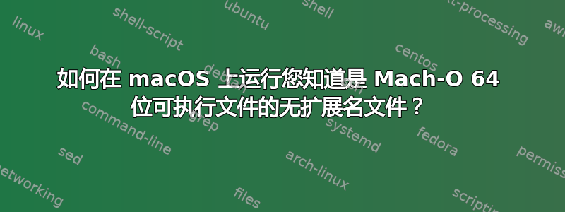 如何在 macOS 上运行您知道是 Mach-O 64 位可执行文件的无扩展名文件？