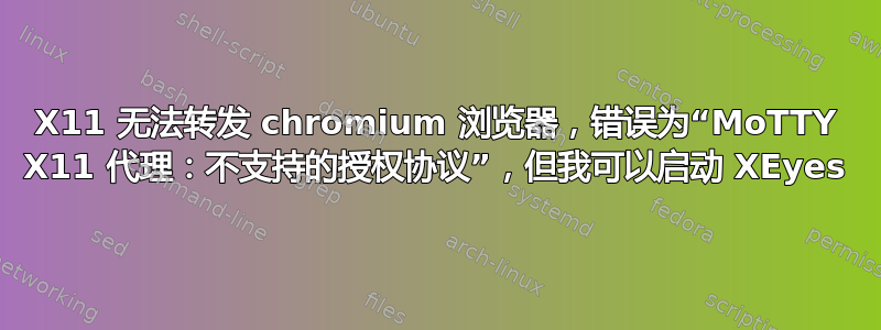 X11 无法转发 chromium 浏览器，错误为“MoTTY X11 代理：不支持的授权协议”，但我可以启动 XEyes