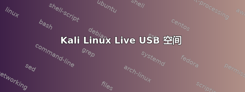 Kali Linux Live USB 空间