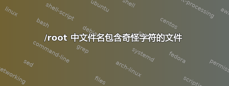 /root 中文件名包含奇怪字符的文件