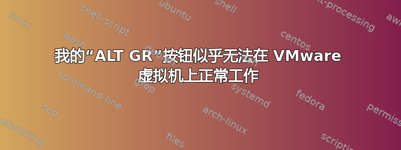 我的“ALT GR”按钮似乎无法在 VMware 虚拟机上正常工作