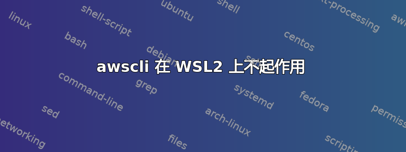 awscli 在 WSL2 上不起作用