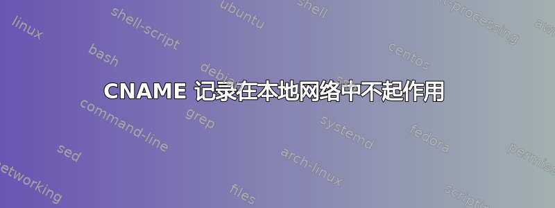 CNAME 记录在本地网络中不起作用