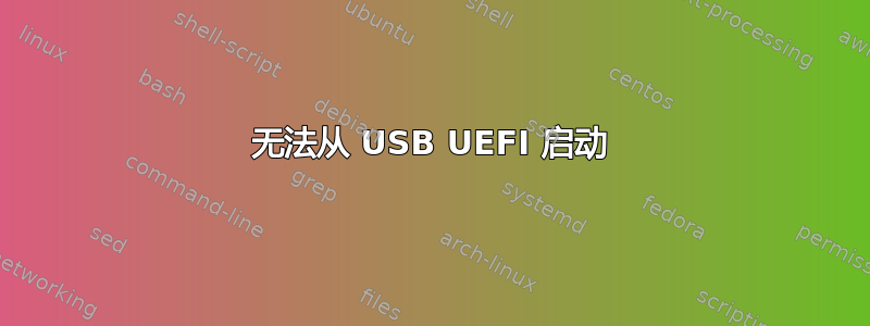 无法从 USB UEFI 启动