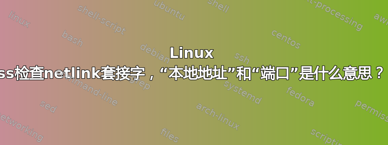 Linux ss检查netlink套接字，“本地地址”和“端口”是什么意思？