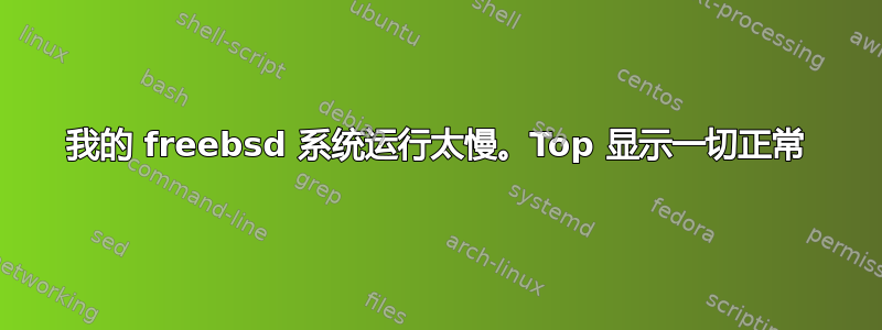 我的 freebsd 系统运行太慢。Top 显示一切正常