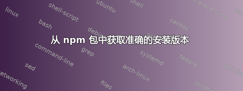 从 npm 包中获取准确的安装版本