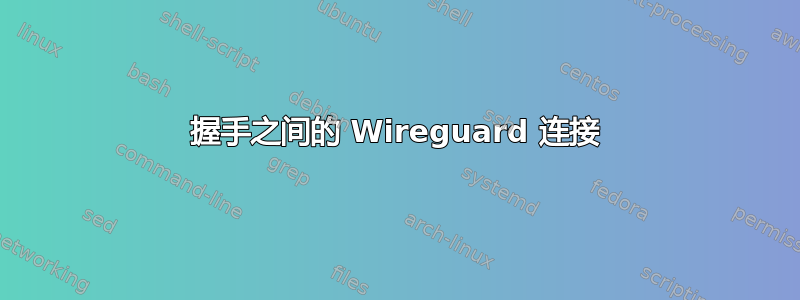 握手之间的 Wireguard 连接