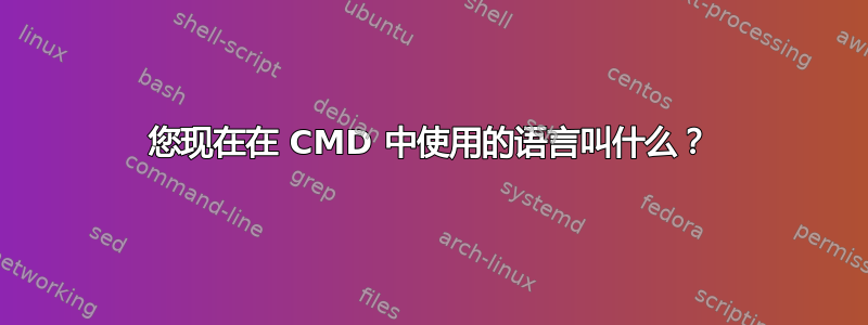 您现在在 CMD 中使用的语言叫什么？