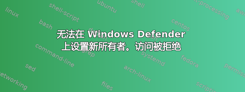 无法在 Windows Defender 上设置新所有者。访问被拒绝