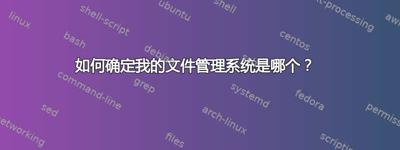 如何确定我的文件管理系统是哪个？ 