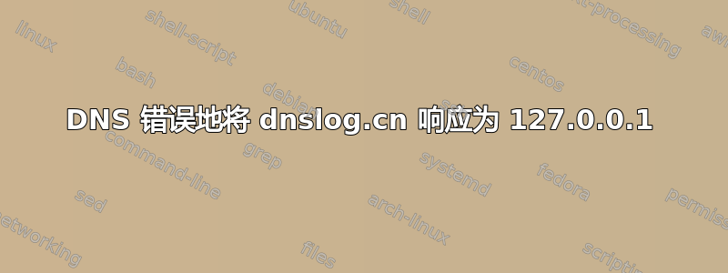 DNS 错误地将 dnslog.cn 响应为 127.0.0.1