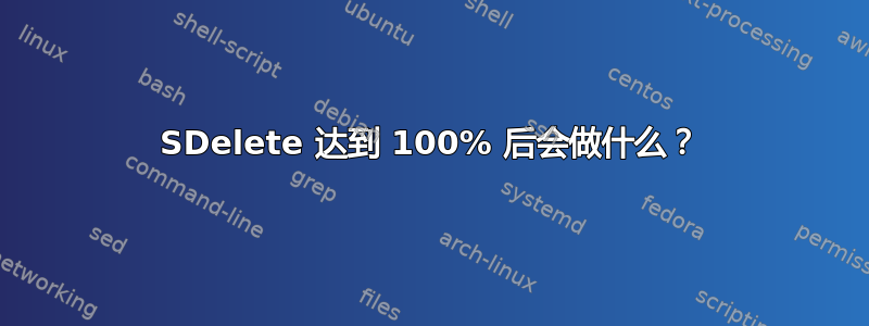 SDelete 达到 100% 后会做什么？