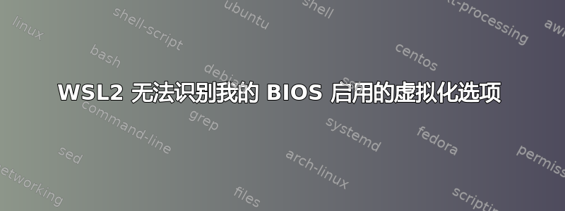 WSL2 无法识别我的 BIOS 启用的虚拟化选项