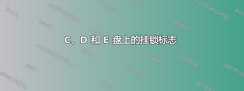 C、D 和 E 盘上的挂锁标志