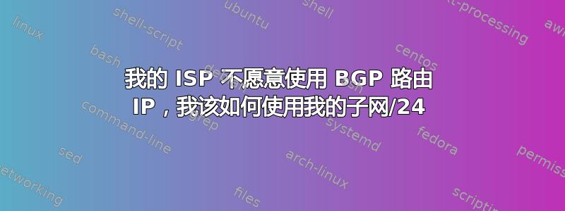 我的 ISP 不愿意使用 BGP 路由 IP，我该如何使用我的子网/24