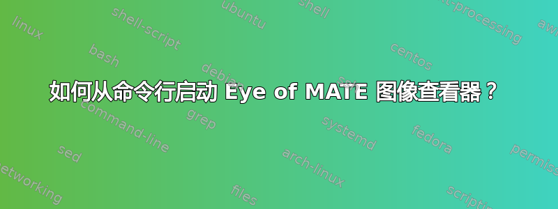 如何从命令行启动 Eye of MATE 图像查看器？