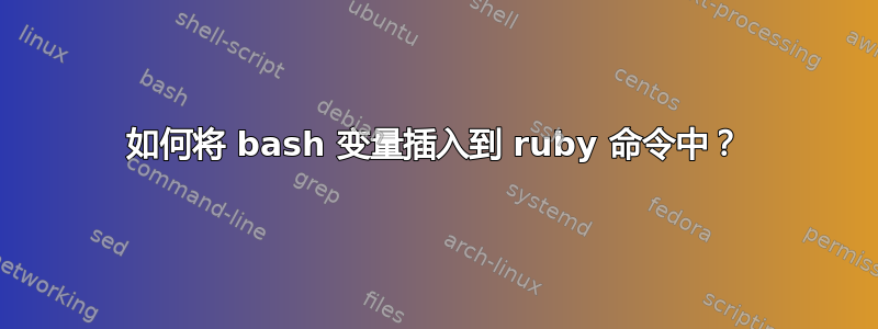 如何将 bash 变量插入到 ruby​​ 命令中？