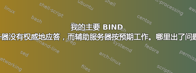 我的主要 BIND 服务器没有权威地应答，而辅助服务器按预期工作。哪里出了问题？