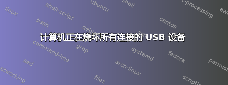 计算机正在烧坏所有连接的 USB 设备