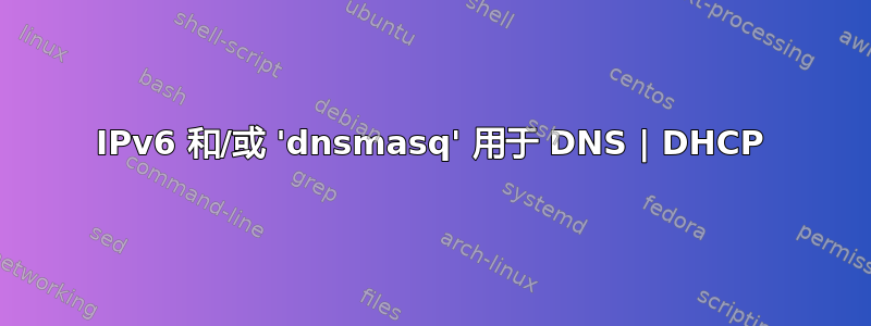 IPv6 和/或 'dnsmasq' 用于 DNS | DHCP