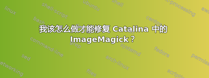 我该怎么做才能修复 Catalina 中的 ImageMagick？