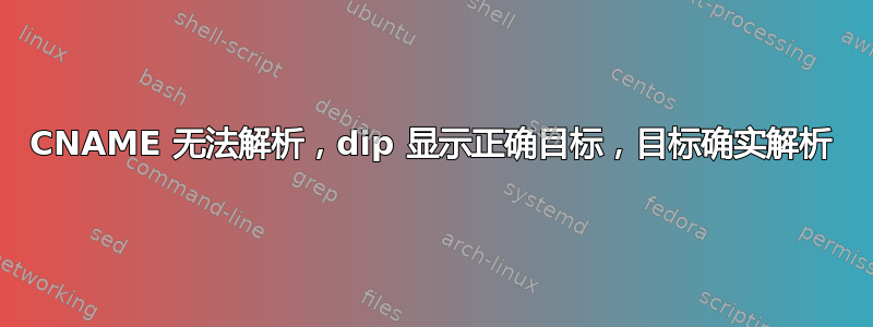 CNAME 无法解析，dip 显示正确目标，目标确实解析