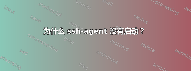 为什么 ssh-agent 没有启动？