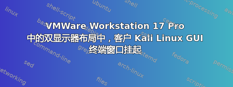 VMWare Workstation 17 Pro 中的双显示器布局中，客户 Kali Linux GUI 终端窗口挂起