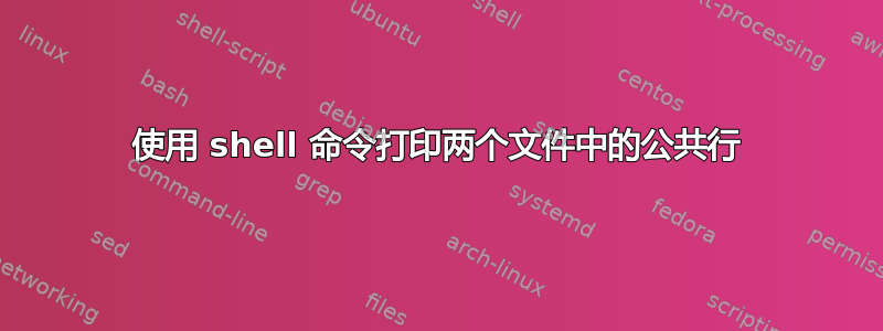 使用 shell 命令打印两个文件中的公共行