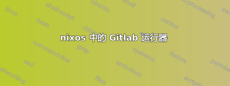 nixos 中的 Gitlab 运行器