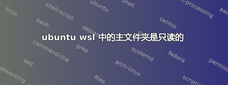 ubuntu wsl 中的主文件夹是只读的