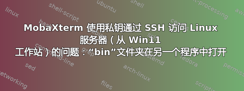 MobaXterm 使用私钥通过 SSH 访问 Linux 服务器（从 Win11 工作站）的问题：“bin”文件夹在另一个程序中打开