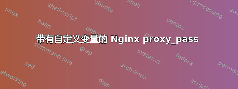 带有自定义变量的 Nginx proxy_pass