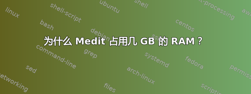 为什么 Medit 占用几 GB 的 RAM？