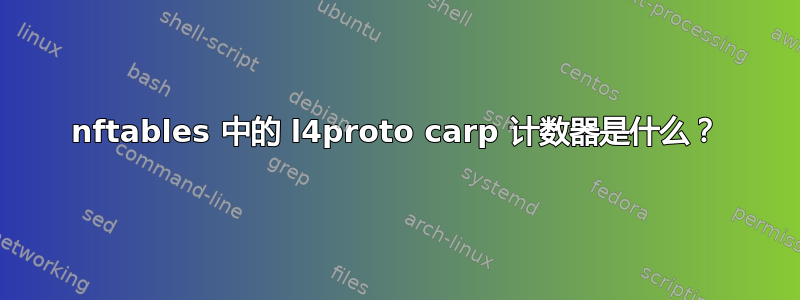 nftables 中的 l4proto carp 计数器是什么？