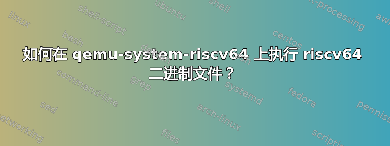 如何在 qemu-system-riscv64 上执行 riscv64 二进制文件？