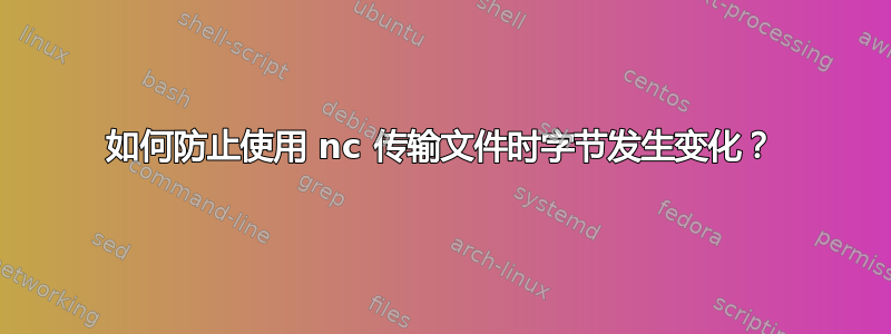 如何防止使用 nc 传输文件时字节发生变化？