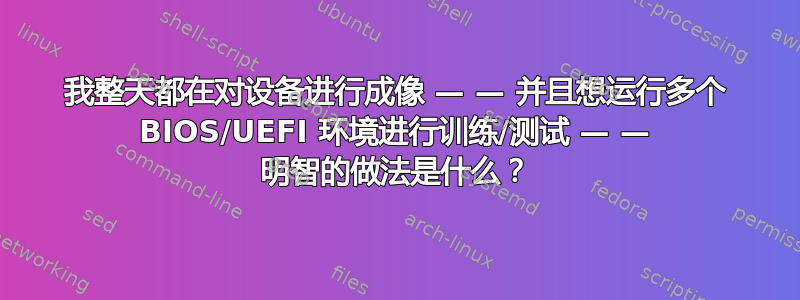 我整天都在对设备进行成像 — — 并且想运行多个 BIOS/UEFI 环境进行训练/测试 — — 明智的做法是什么？