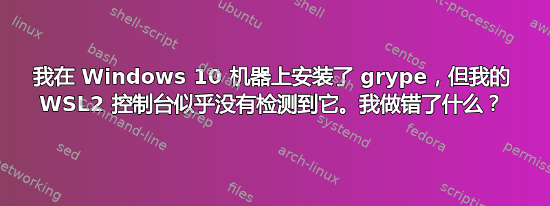 我在 Windows 10 机器上安装了 grype，但我的 WSL2 控制台似乎没有检测到它。我做错了什么？