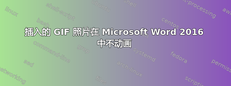 插入的 GIF 照片在 Microsoft Word 2016 中不动画