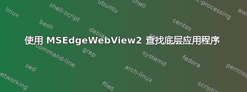 使用 MSEdgeWebView2 查找底层应用程序