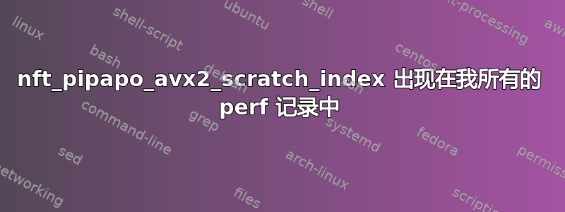 nft_pipapo_avx2_scratch_index 出现在我所有的 perf 记录中