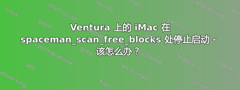 2017 Ventura 上的 iMac 在 spaceman_scan_free_blocks 处停止启动 - 该怎么办？